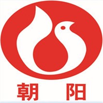 朝陽(yáng)泵業(yè)QZ軸流、QH混流潛水電泵